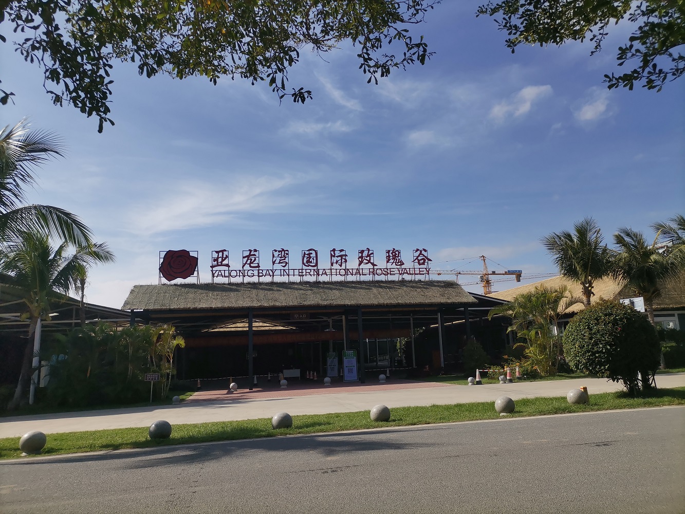 IMG_20211111_145747.jpg IMG_20211111_145747.jpg